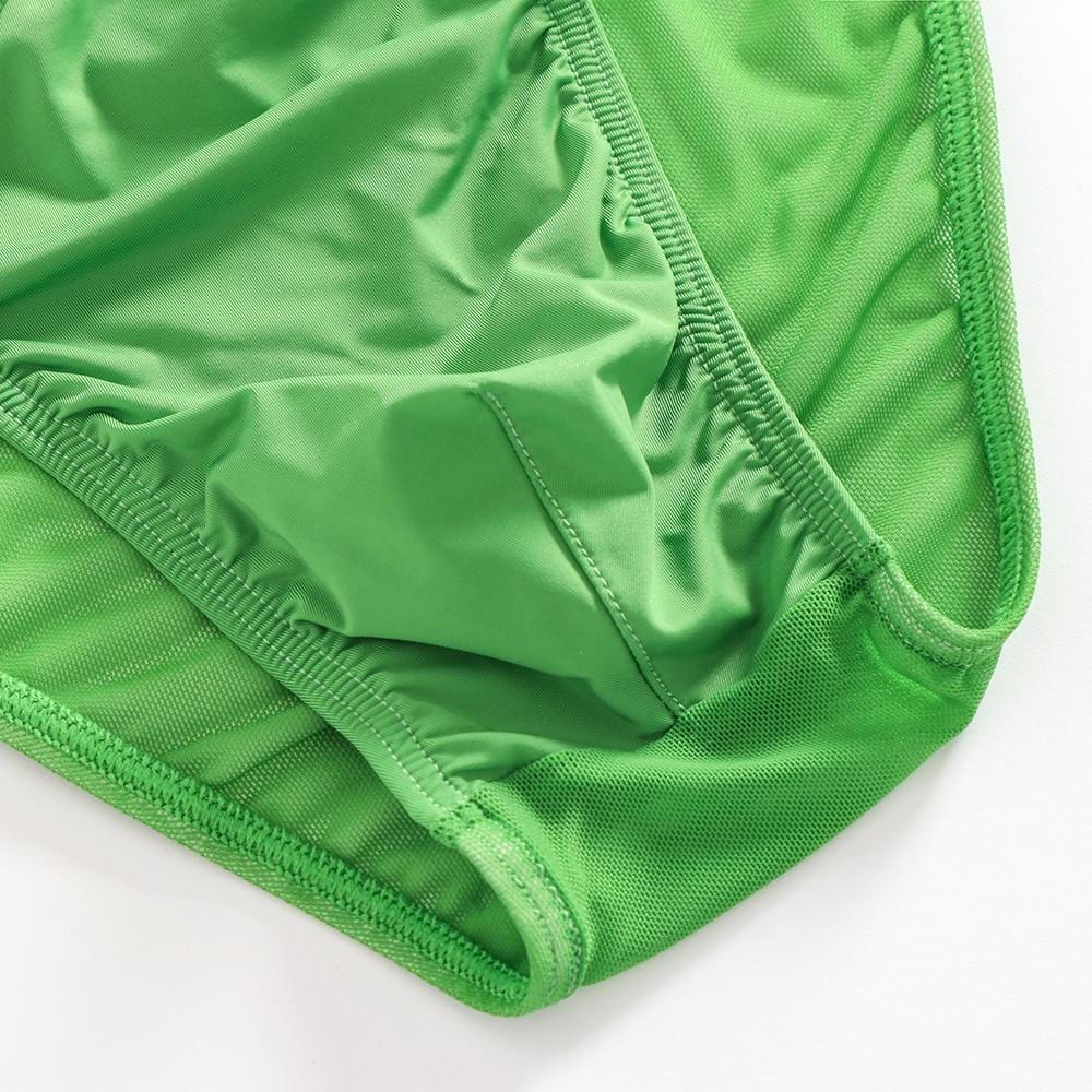 Seductive Sheer Bikini Briefs | dmunderwear detail image 3