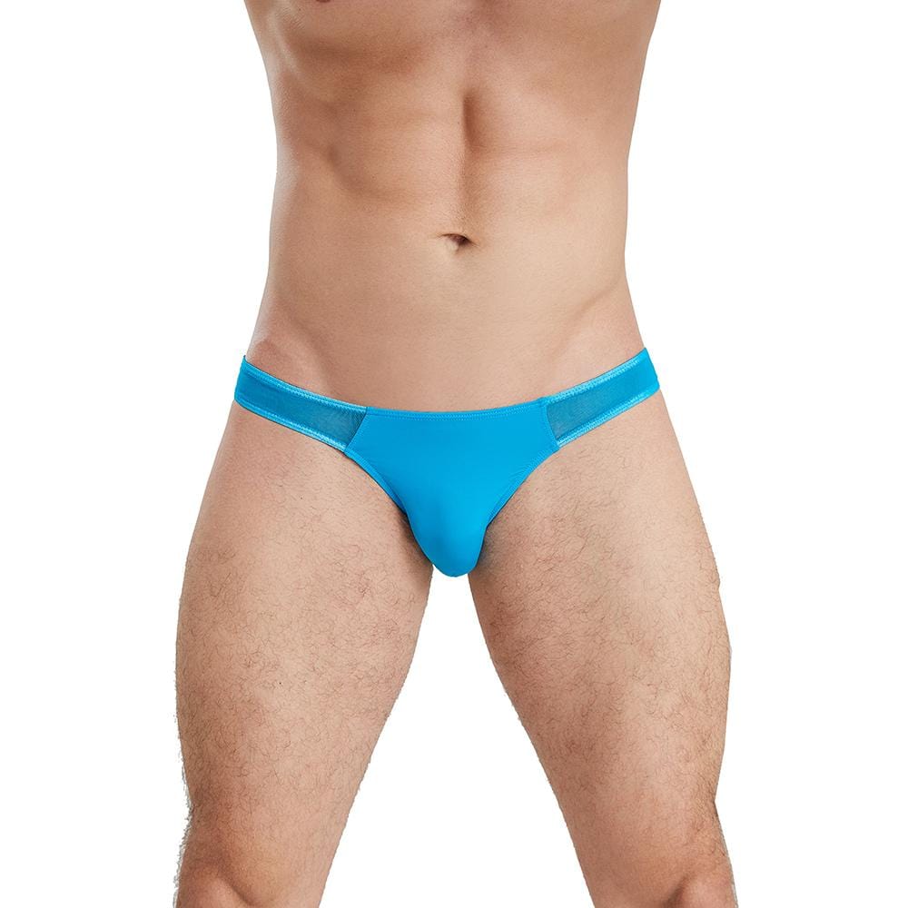 Seductive Sheer Bikini Briefs | dmunderwear detail image 6