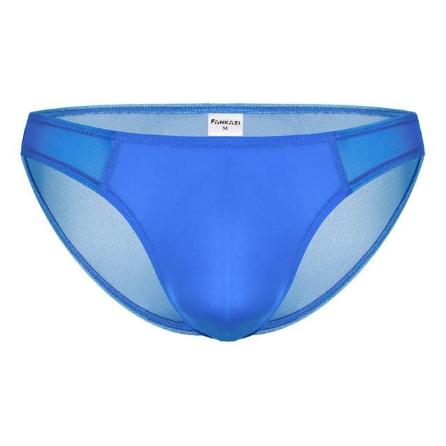 Seductive Sheer Bikini Briefs | dmunderwear detail image 7