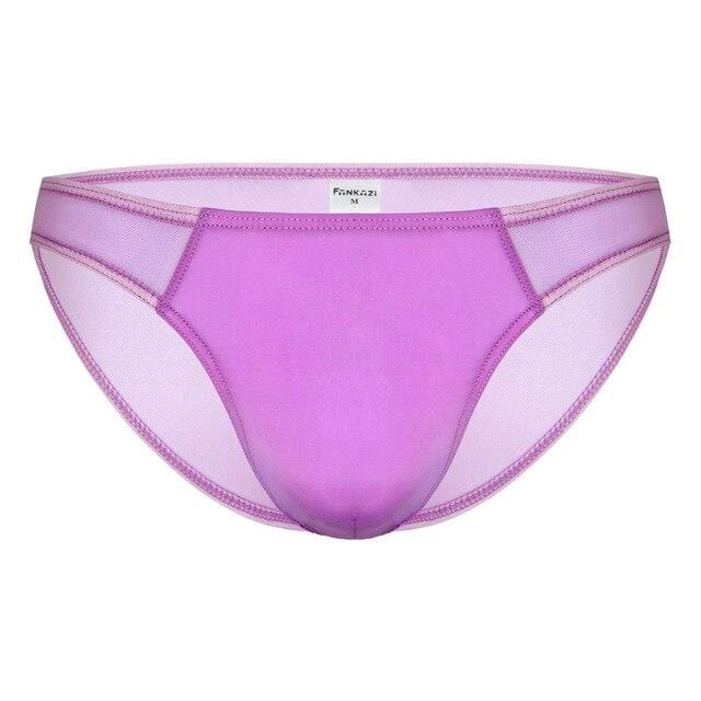 Seductive Sheer Bikini Briefs | dmunderwear detail image 9
