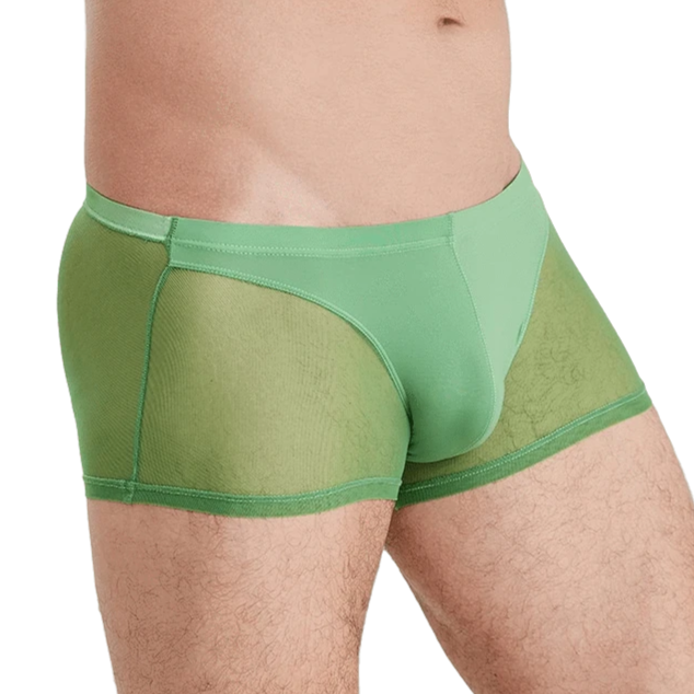 Seductive Sheer Trunks | dmunderwear
