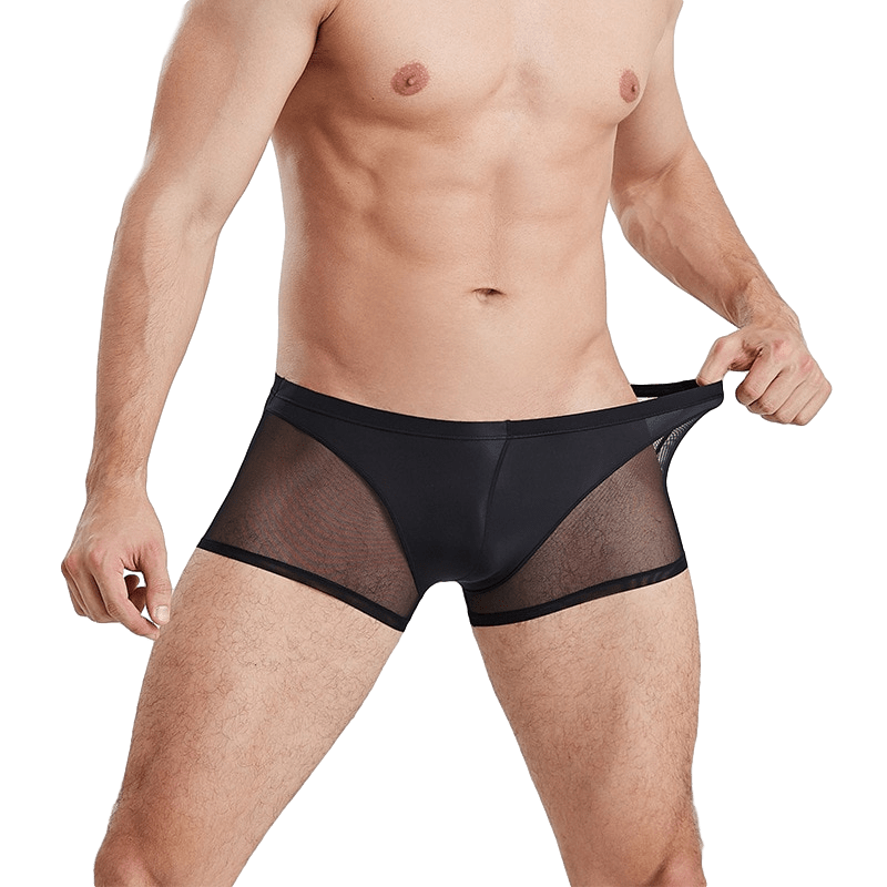 Seductive Sheer Trunks | dmunderwear detail image 3