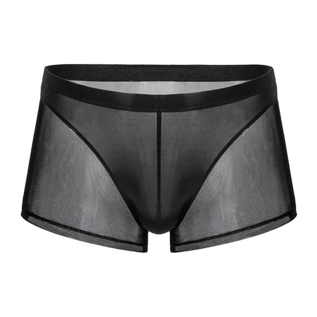 Seductive Sheer Trunks | dmunderwear detail image 4