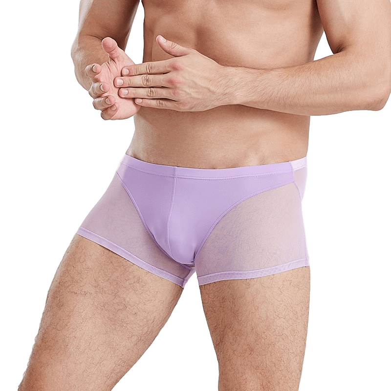 Seductive Sheer Trunks | dmunderwear detail image 5