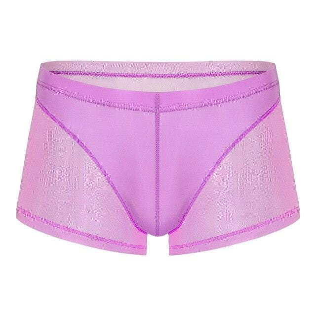 Seductive Sheer Trunks | dmunderwear detail image 6