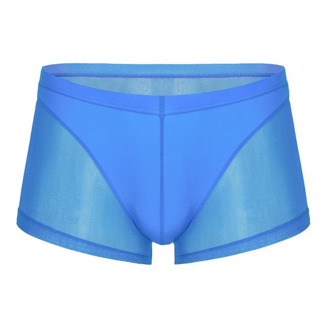 Seductive Sheer Trunks | dmunderwear detail image 7
