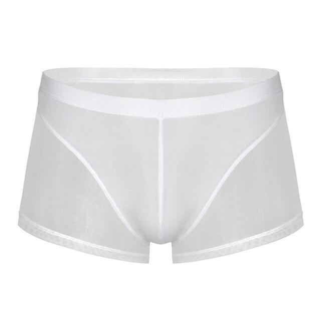 Seductive Sheer Trunks | dmunderwear detail image 8