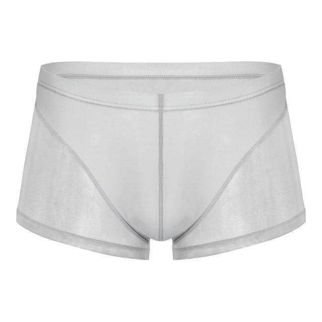 Seductive Sheer Trunks | dmunderwear detail image 9