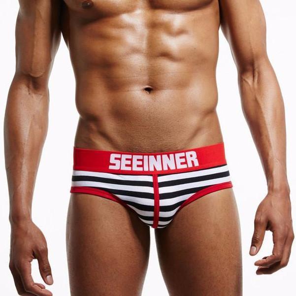 Seeinner Striped Briefs | dmunderwear