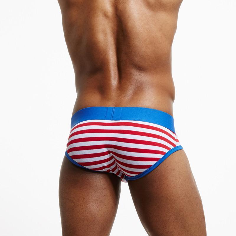 Seeinner Striped Briefs | dmunderwear detail image 5