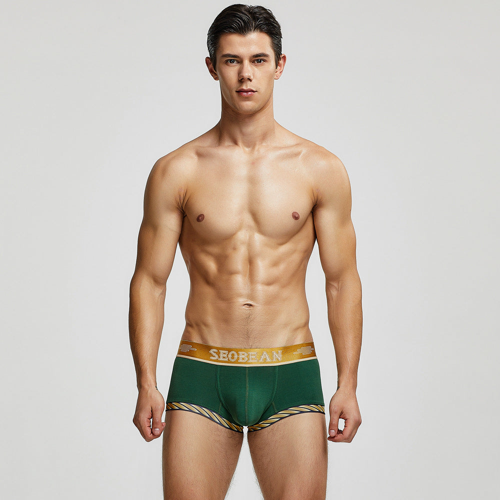 Seobean Golden Boxers | dmunderwear detail image 12