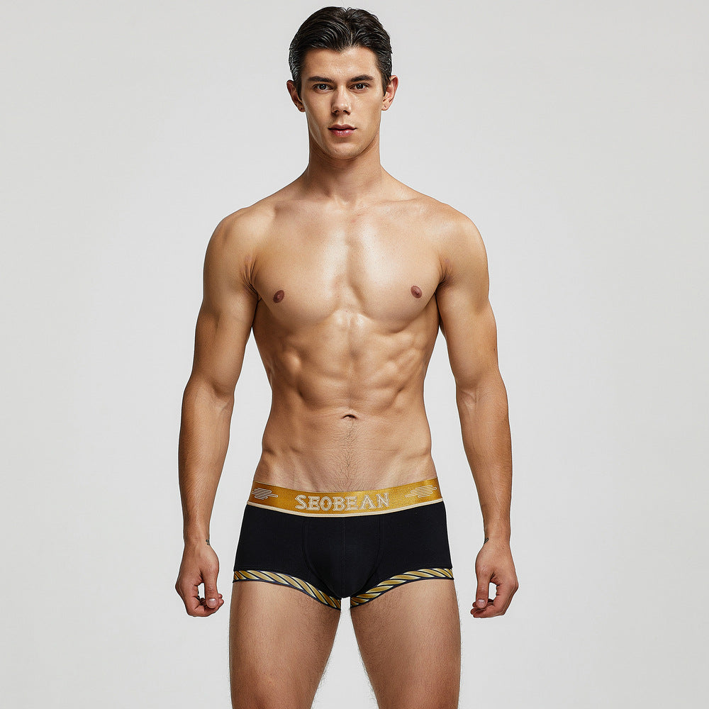 Seobean Golden Boxers | dmunderwear detail image 17
