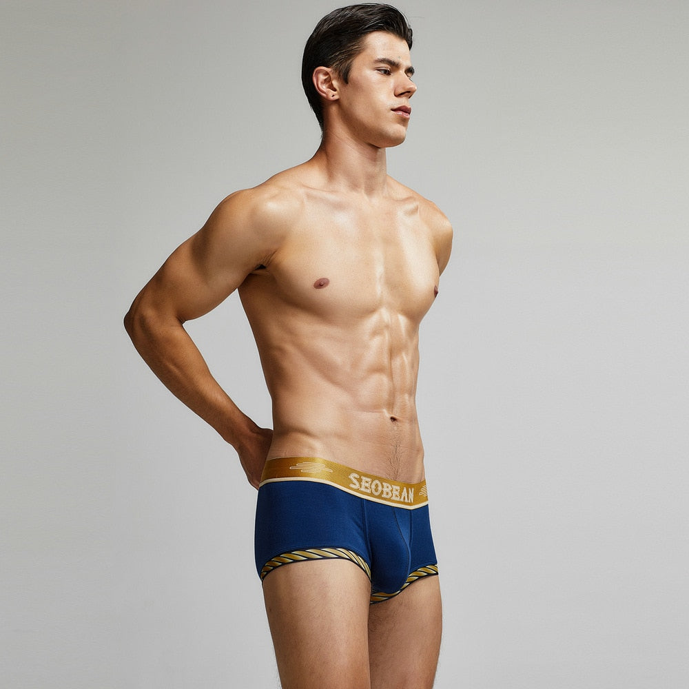 Seobean Golden Boxers | dmunderwear detail image 5