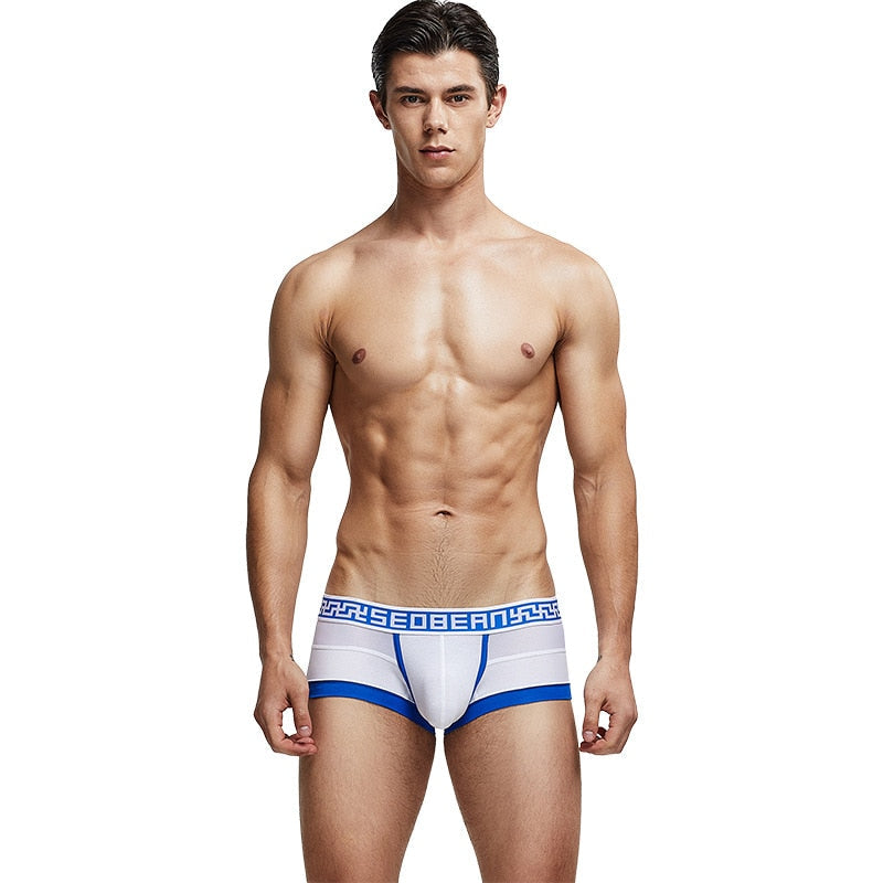 Seobean Greco Cotton Boxers | dmunderwear detail image 9