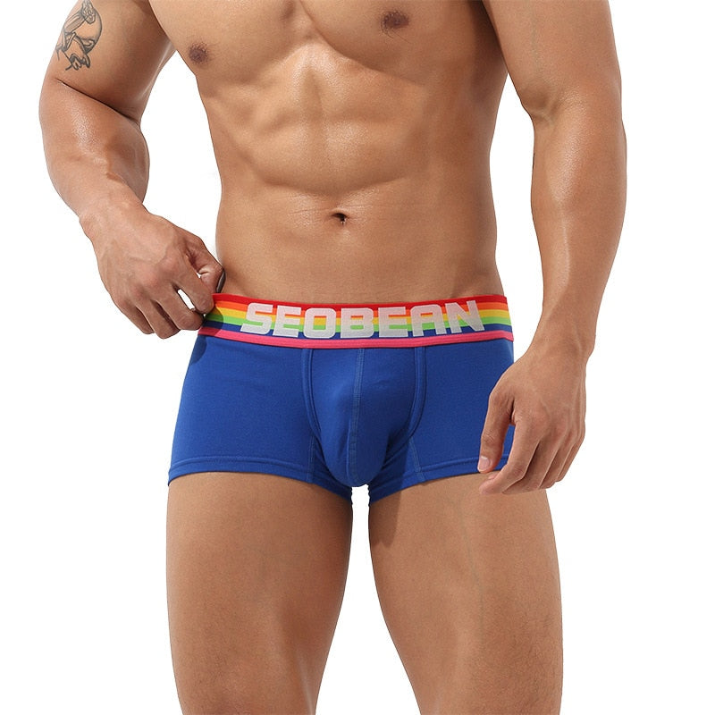 Seobean Rainbow Pride Boxers | dmunderwear detail image 11