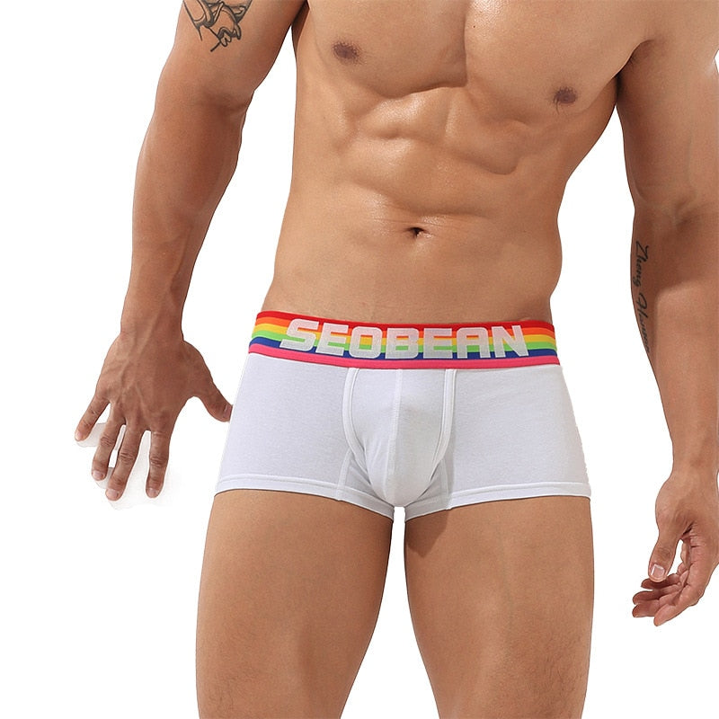 Seobean Rainbow Pride Boxers | dmunderwear detail image 12