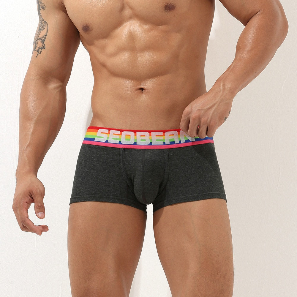 Seobean Rainbow Pride Boxers | dmunderwear detail image 13