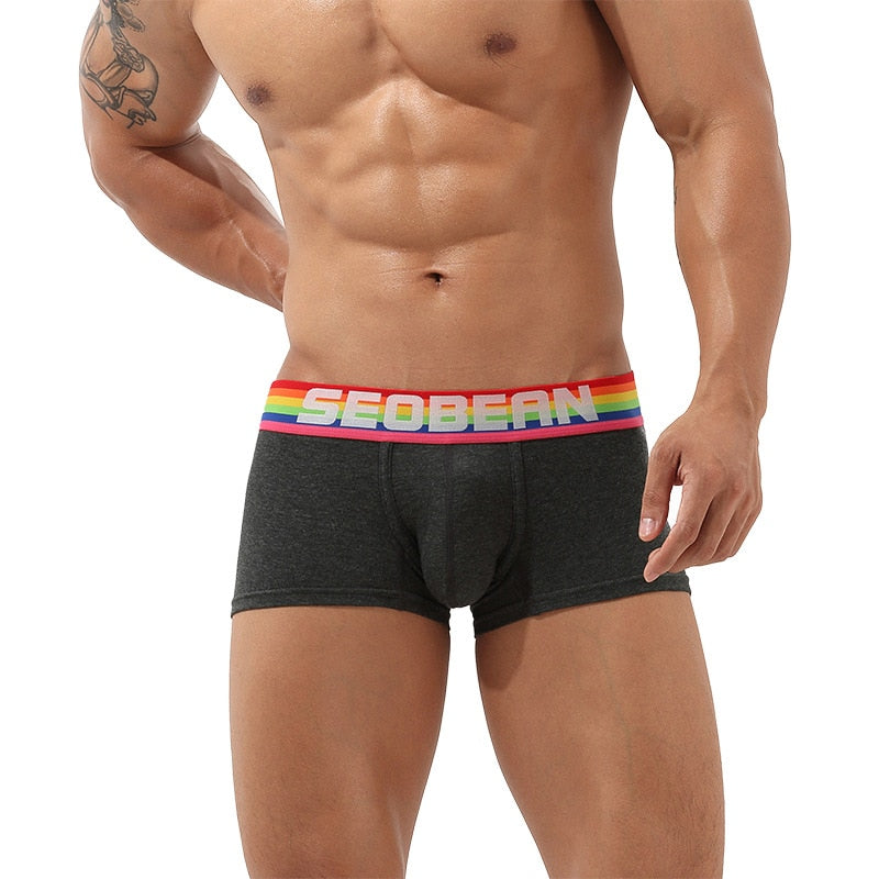 Seobean Rainbow Pride Boxers | dmunderwear detail image 14