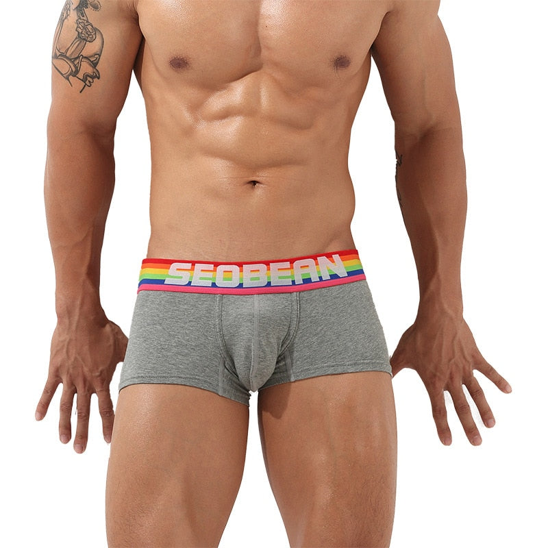 Seobean Rainbow Pride Boxers | dmunderwear detail image 2