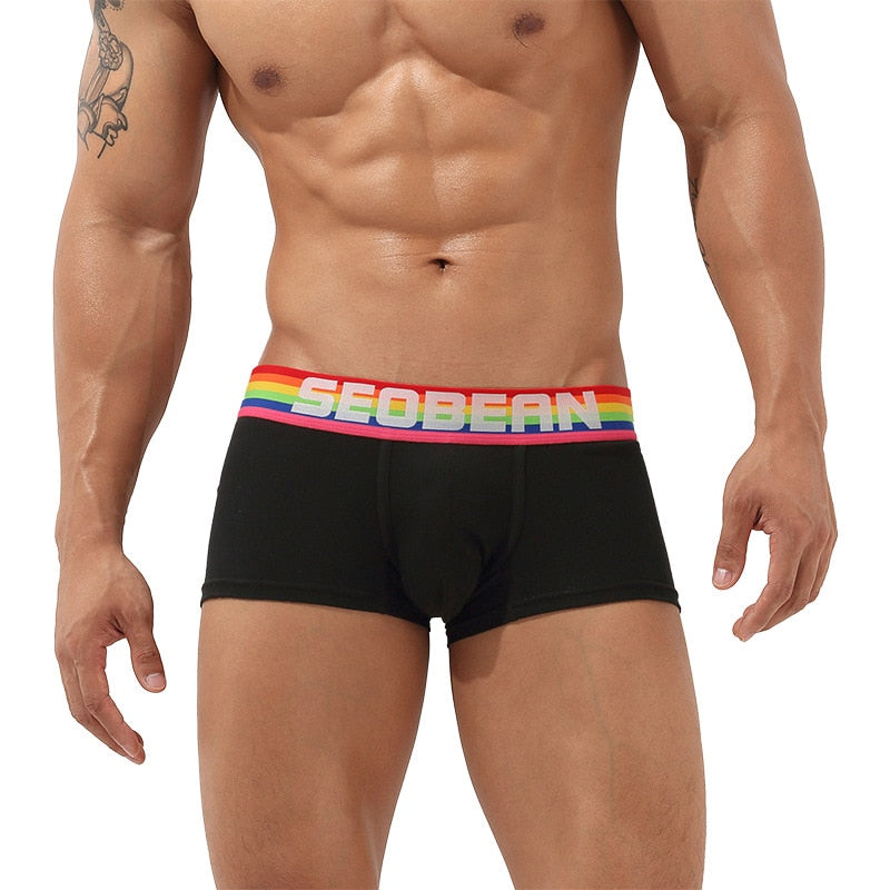 Seobean Rainbow Pride Boxers | dmunderwear detail image 5