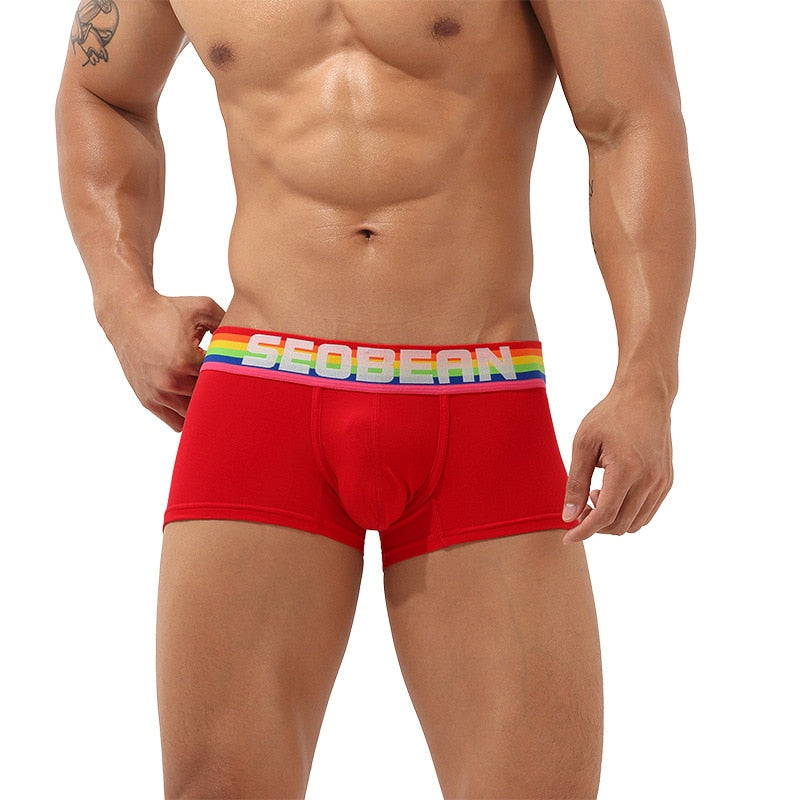 Seobean Rainbow Pride Boxers | dmunderwear detail image 6
