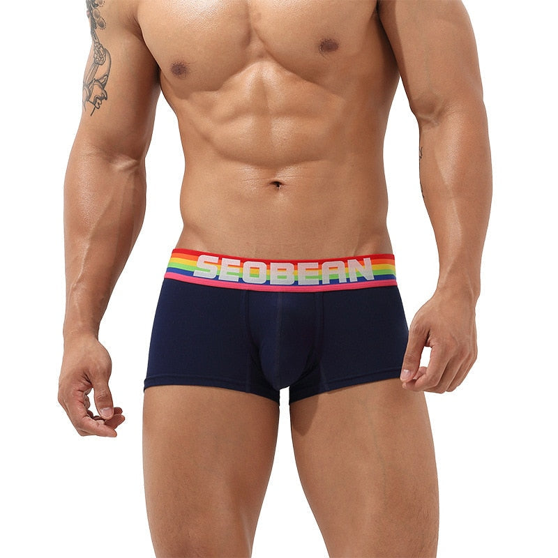 Seobean Rainbow Pride Boxers | dmunderwear detail image 9