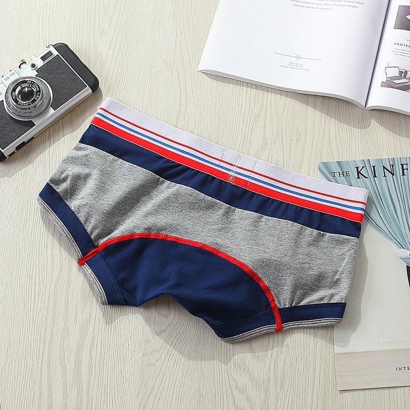 ORVLS Seobean Vintage Boxer Briefs | dmunderwear detail image 3