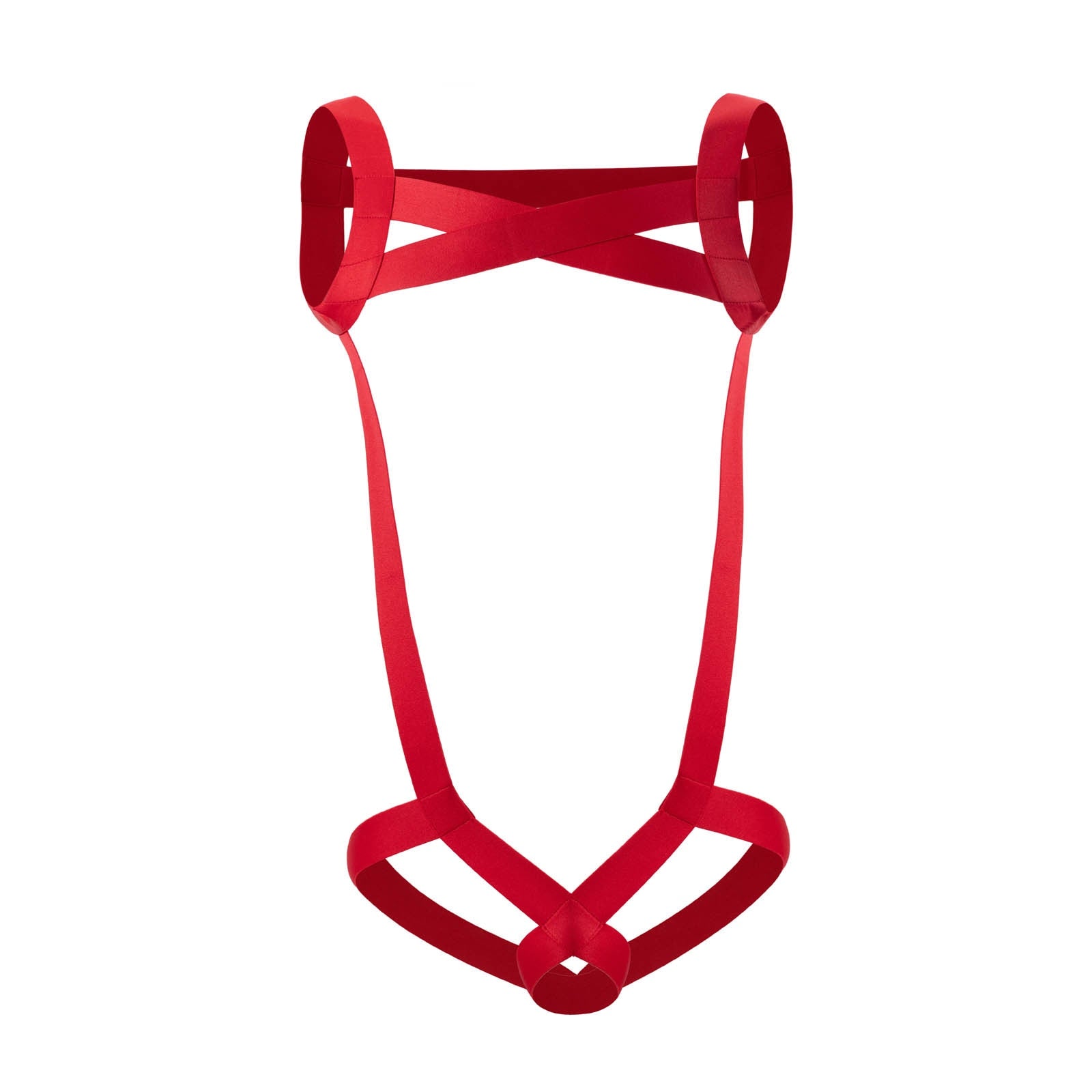 Sexy Men's Full Body Harness | dmunderwear detail image 4