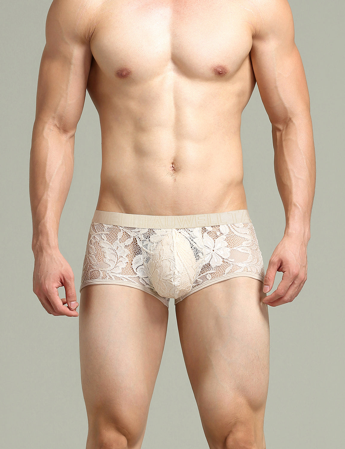 Sexy Lace Boxer Briefs 23204 | dmunderwear detail image 4