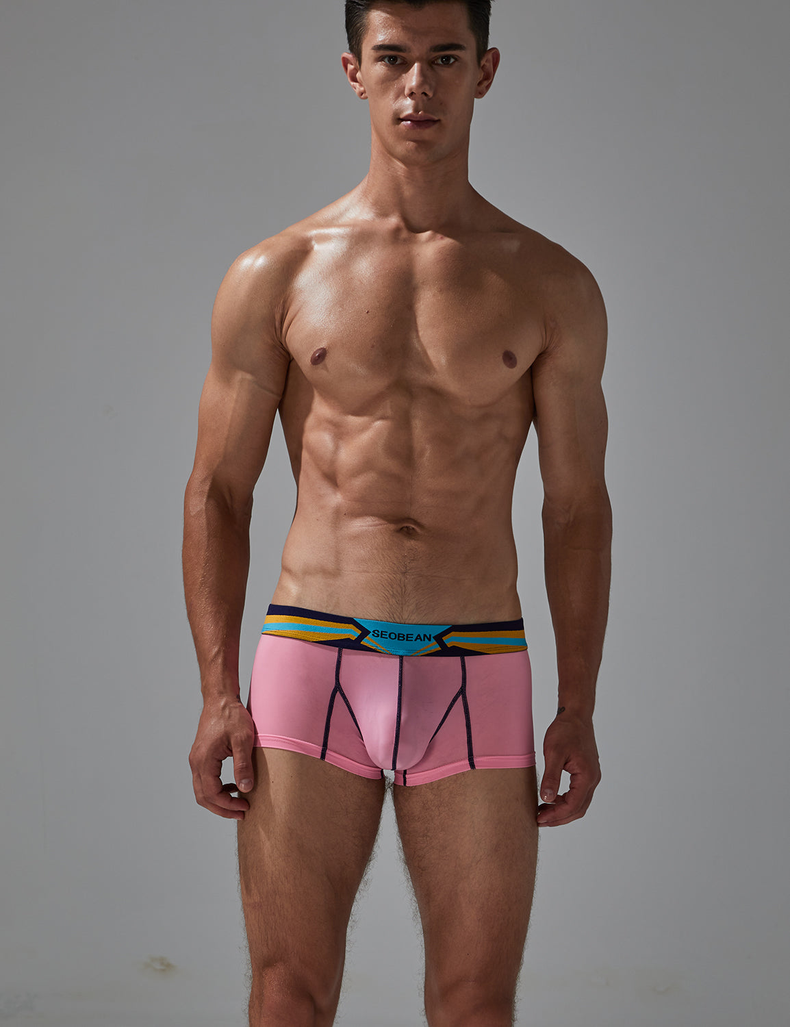 Sexy Nylon Boxer Brief 230215 | dmunderwear detail image 3