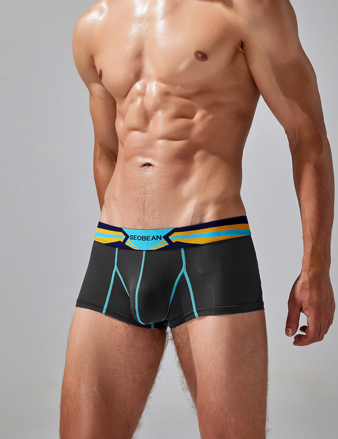 Sexy Nylon Boxer Brief 230215 | dmunderwear detail image 6