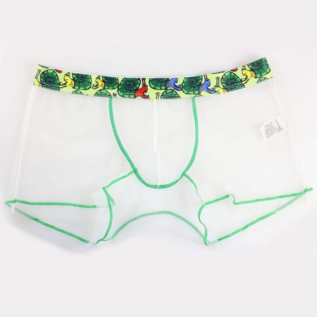 Sheer Boxer Briefs | dmunderwear detail image 9