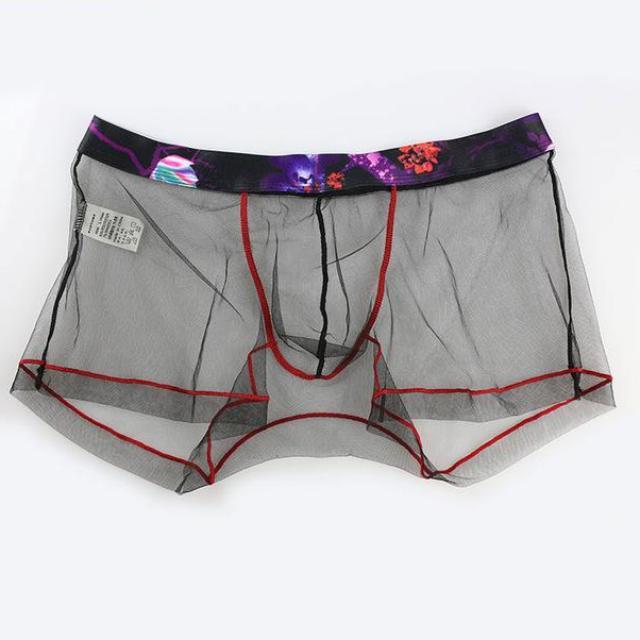 ORVLS Sheer Boxer Briefs | dmunderwear detail image 2