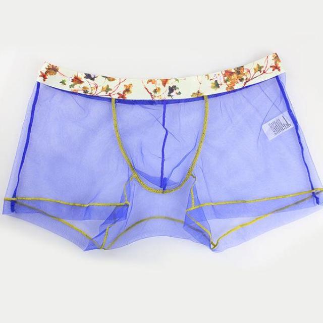 ORVLS Sheer Boxer Briefs | dmunderwear detail image 4