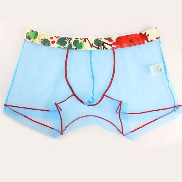 ORVLS Sheer Boxer Briefs | dmunderwear detail image 6