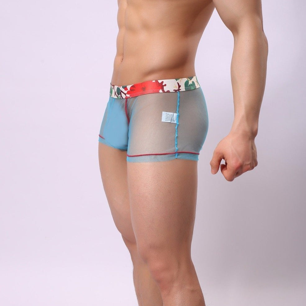 ORVLS Sheer Boxer Briefs | dmunderwear detail image 7