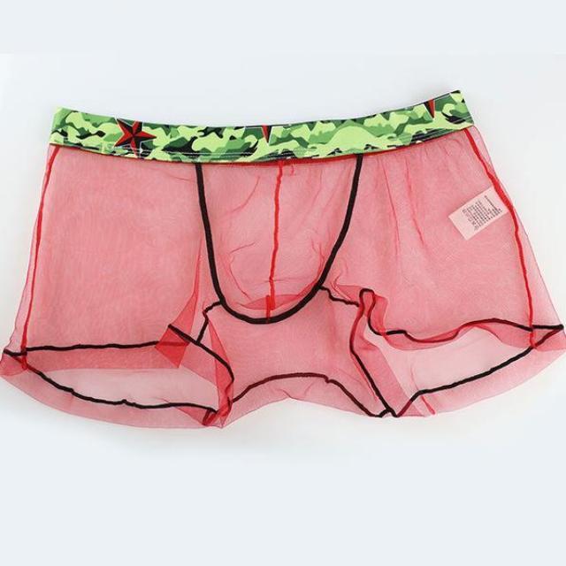 ORVLS Sheer Boxer Briefs | dmunderwear detail image 8