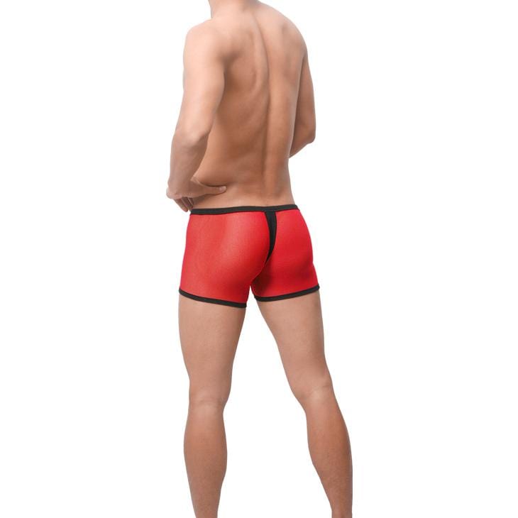 Sheer G-Trunks | dmunderwear detail image 3