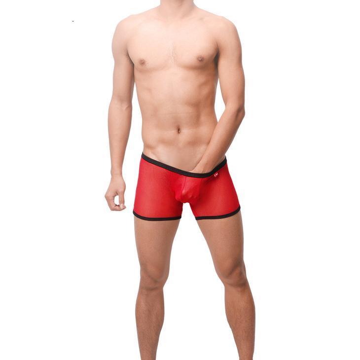 Sheer G-Trunks | dmunderwear detail image 4
