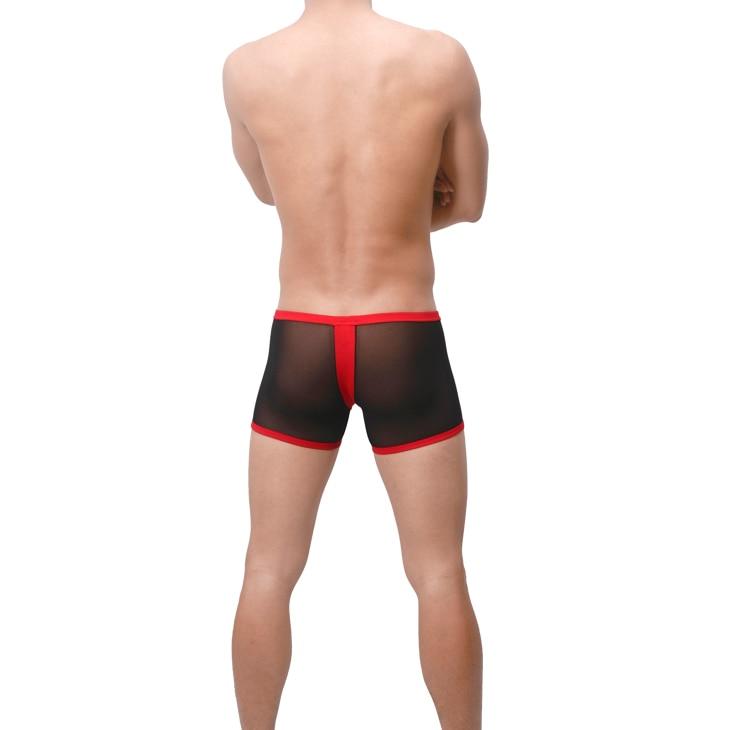 Sheer G-Trunks | dmunderwear detail image 5