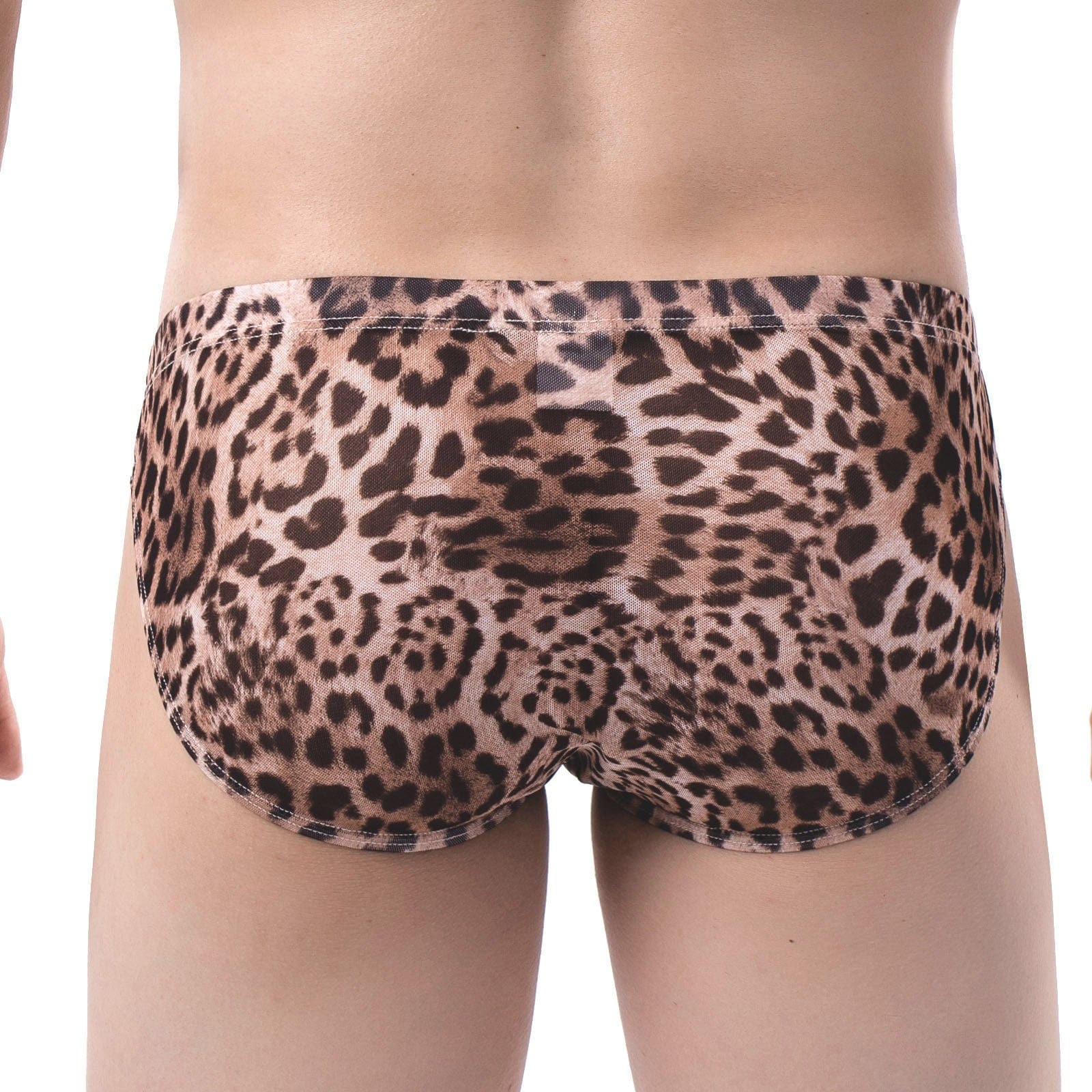 Sheer Jungle Briefs | dmunderwear detail image 12