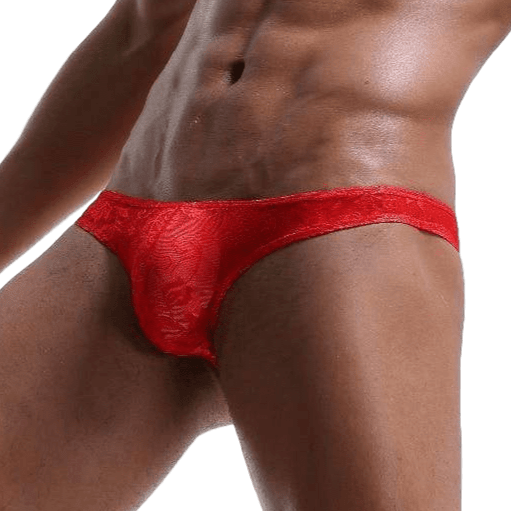 Sheer Lace Thong | dmunderwear detail image 4