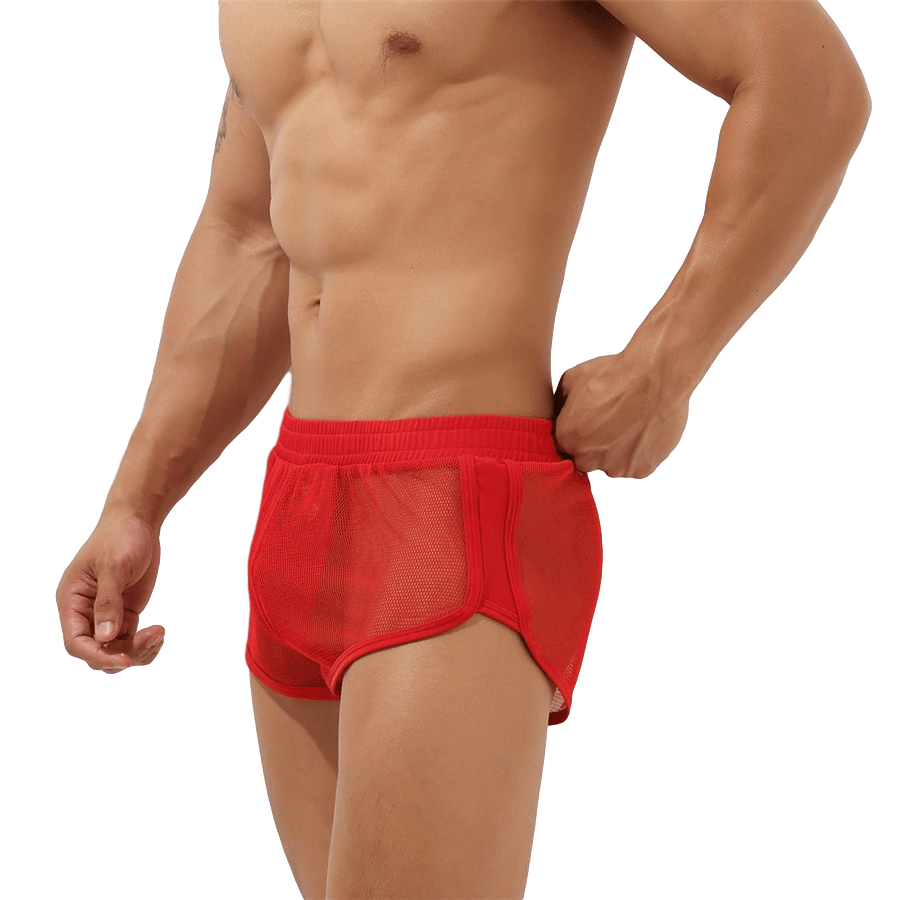 Sheer Mesh Jogger Shorts | dmunderwear detail image 5