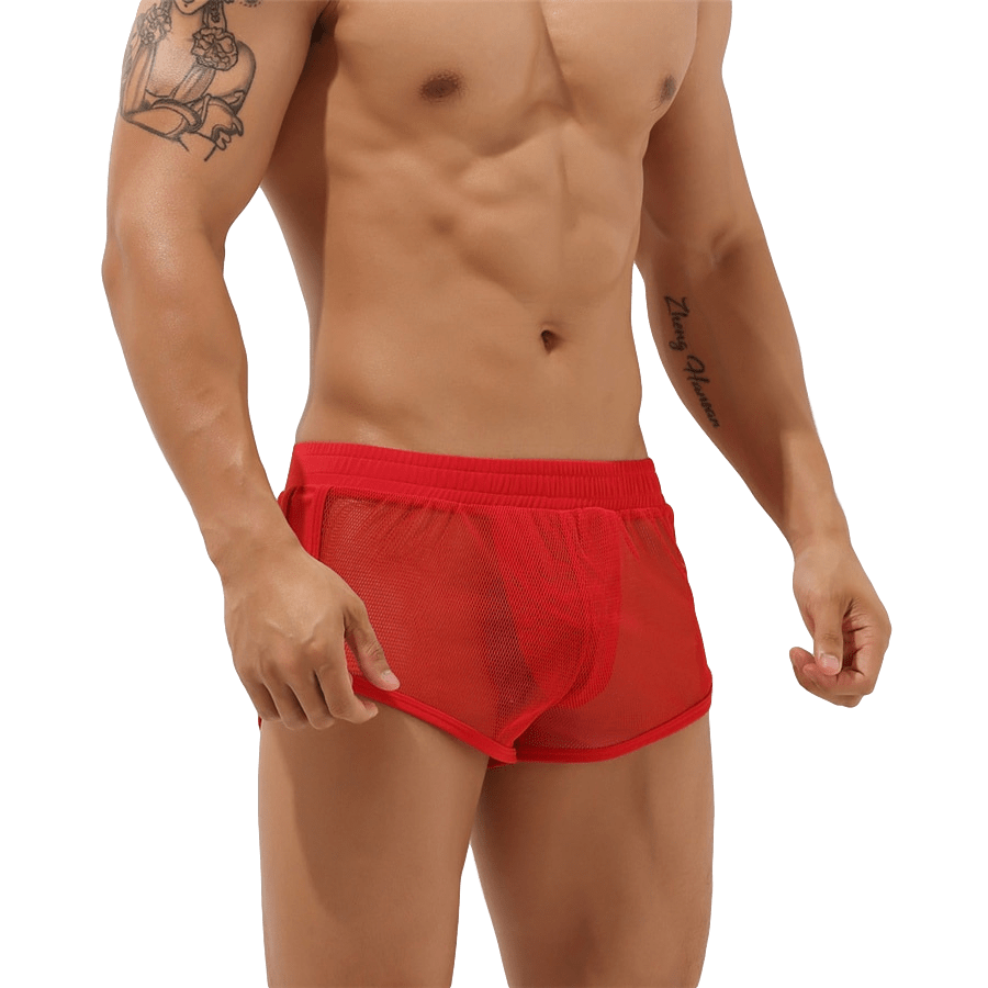 Sheer Mesh Jogger Shorts | dmunderwear detail image 6