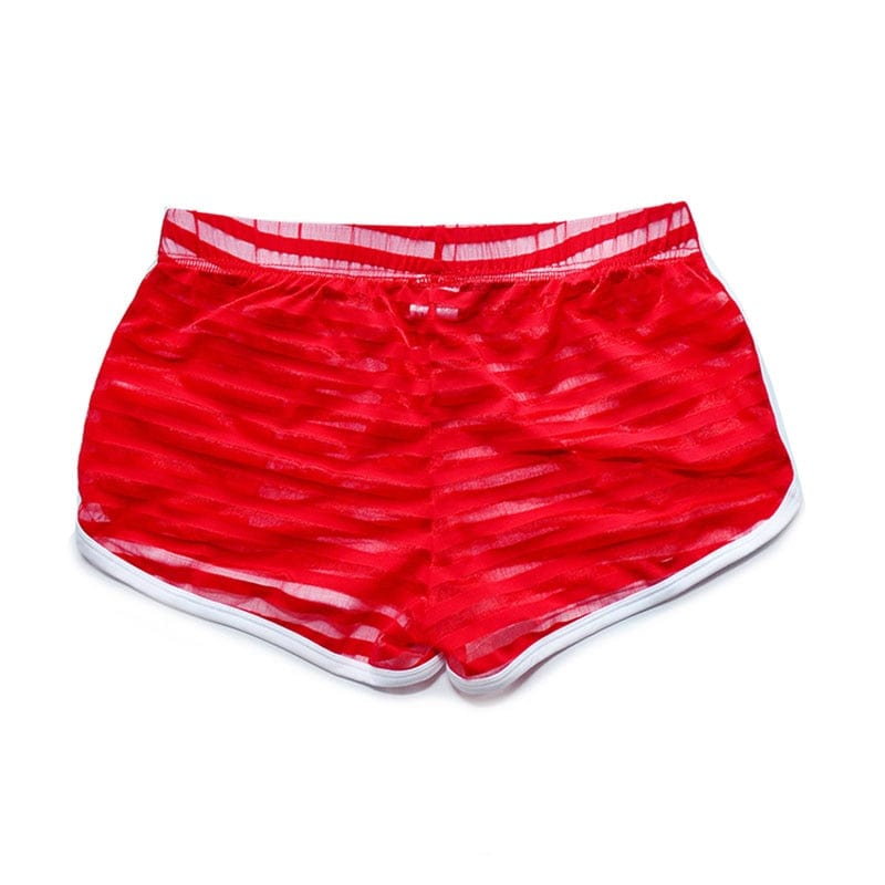 Sheer Short Shorts | dmunderwear detail image 11