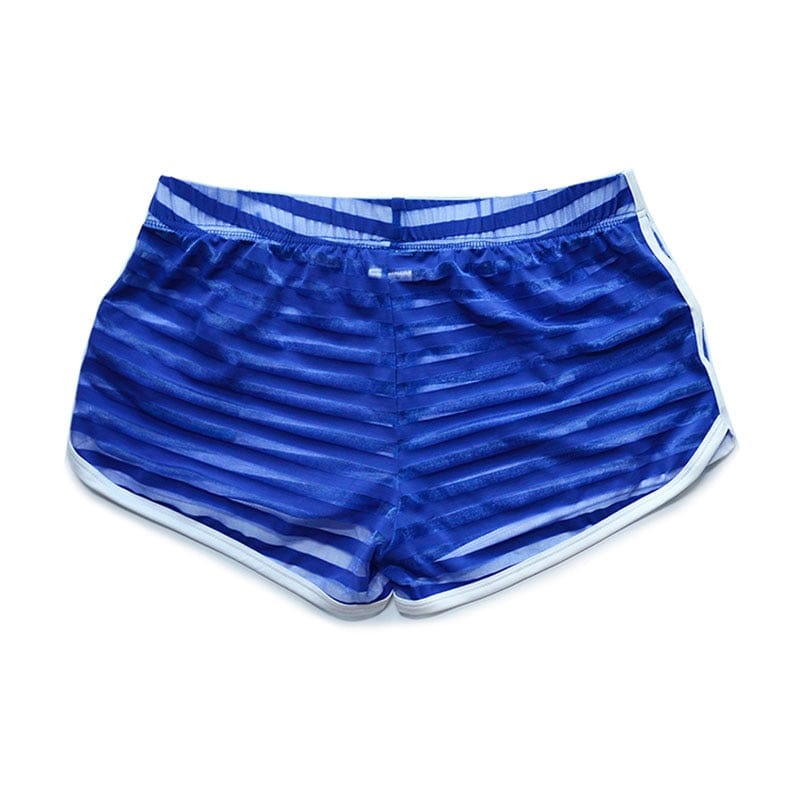 Sheer Short Shorts | dmunderwear detail image 7