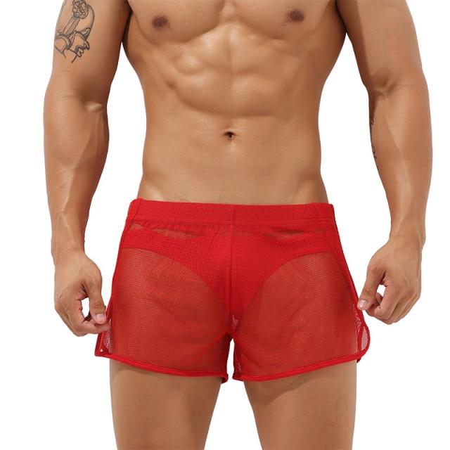 Sheer Swim Trunks | dmunderwear detail image 2