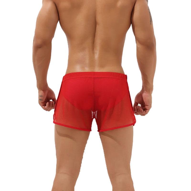 Sheer Swim Trunks | dmunderwear detail image 3