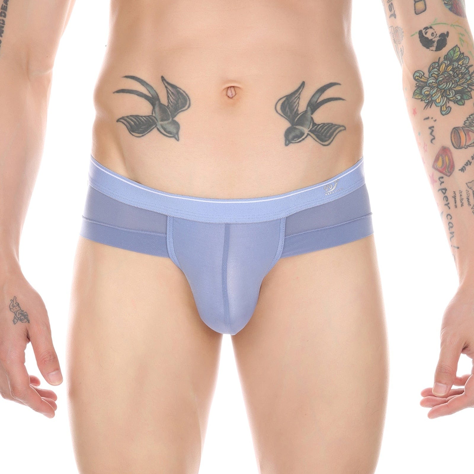Sheer Skyline T-Briefs | dmunderwear detail image 10