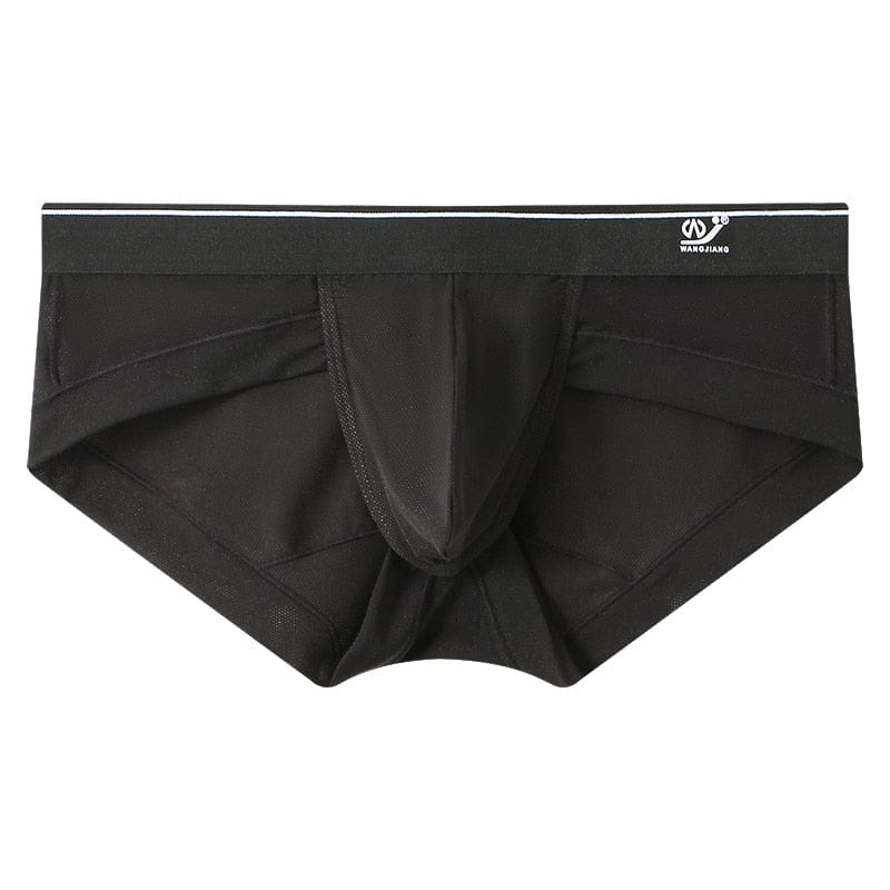Sheer Skyline T-Briefs | dmunderwear detail image 15